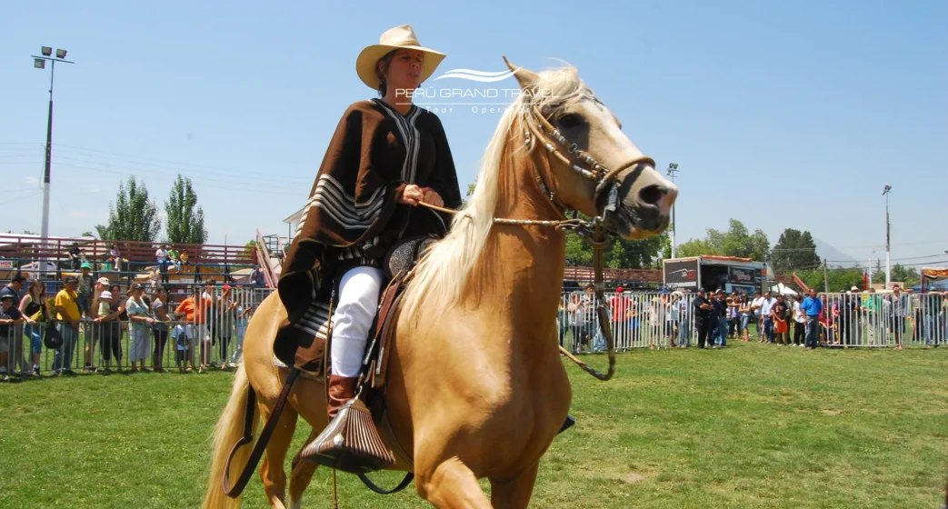 Chalán montando um Cavalo Peruano de Paso durante um festival, exibindo sua marcha elegante em uma apresentação ao ar livre