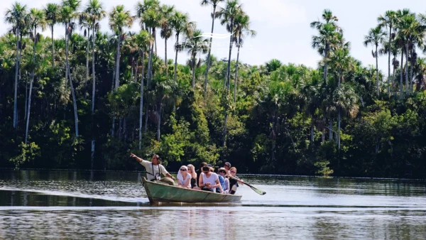 Dia Mundial da Vida Selvagem no Peru – passeio de barco guiado pela Amazônia com viajantes observando a vida selvagem ao longo de um rio cercado por palmeiras
