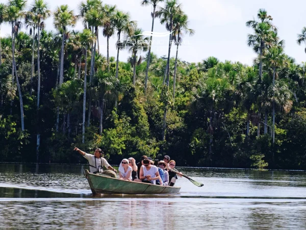 Dia Mundial da Vida Selvagem no Peru – passeio de barco guiado pela Amazônia com viajantes observando a vida selvagem ao longo de um rio cercado por palmeiras