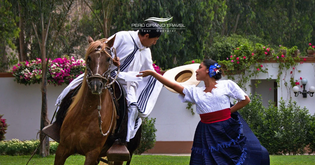 Marinera com cavalo peruano Paso, dança peruana, dança do norte do Peru, coisas para fazer em Trujillo, Peru