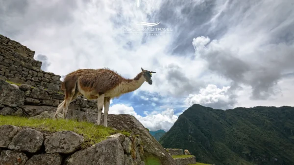 Perú-en-mayo