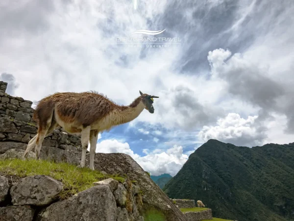 Perú-en-mayo