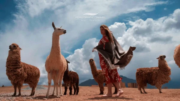 Roupas de Alpaca do Peru