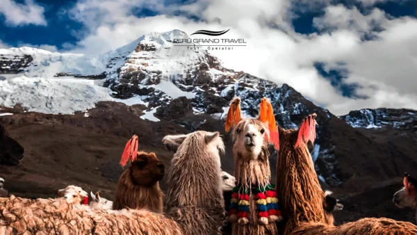 Tem neve no Peru