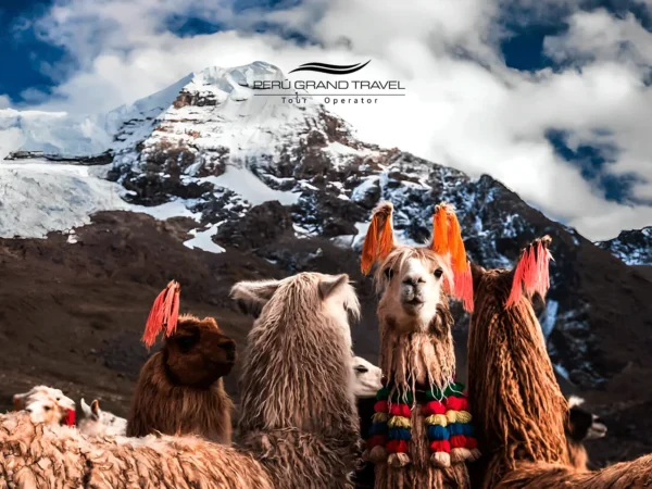 Tem neve no Peru