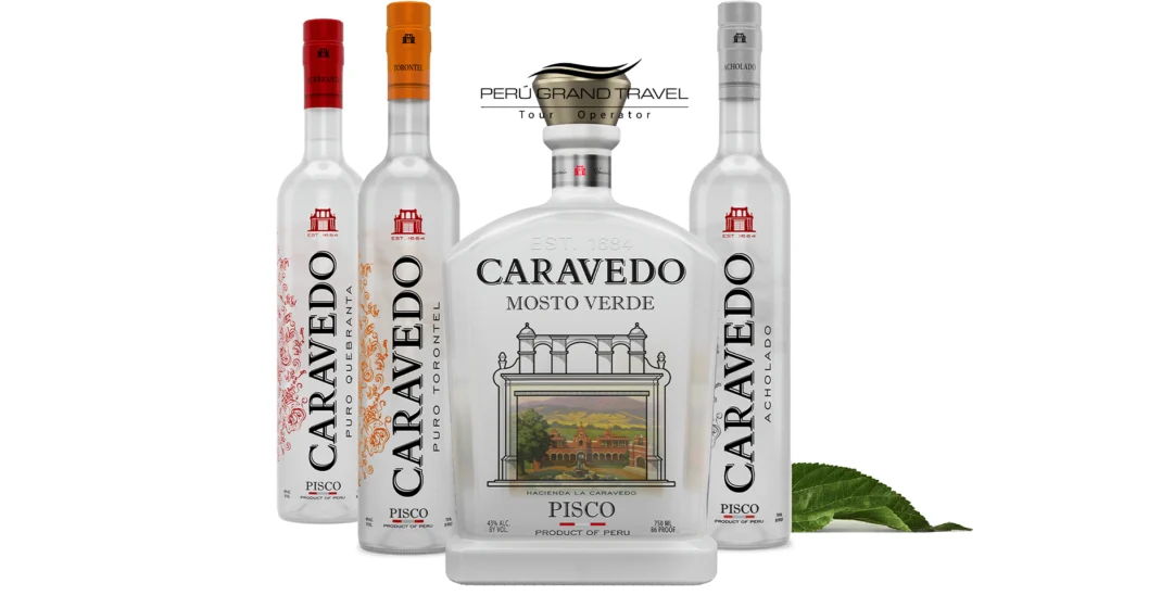 Tipos de pisco peruano, pisco peruano, marcas de pisco peruano, pisco tradicional, bebida peruana pisco
