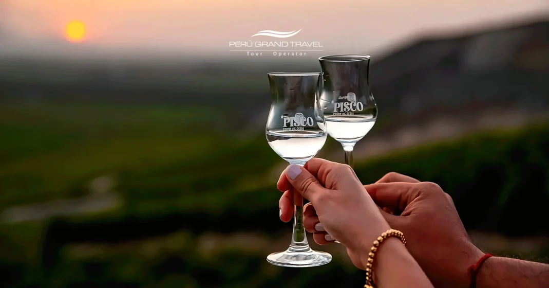 brinde com pisco puro, pisco destilado, pisco peruano, apreciando pisco, colheita