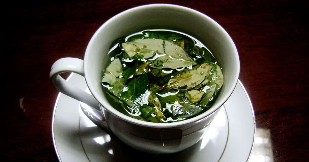 Chá de coca, em uma xícara branca com vista para as folhas de coca
