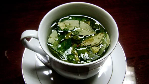 Chá de coca, em uma xícara branca com vista para as folhas de coca
