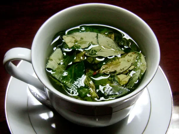 Chá de coca, em uma xícara branca com vista para as folhas de coca