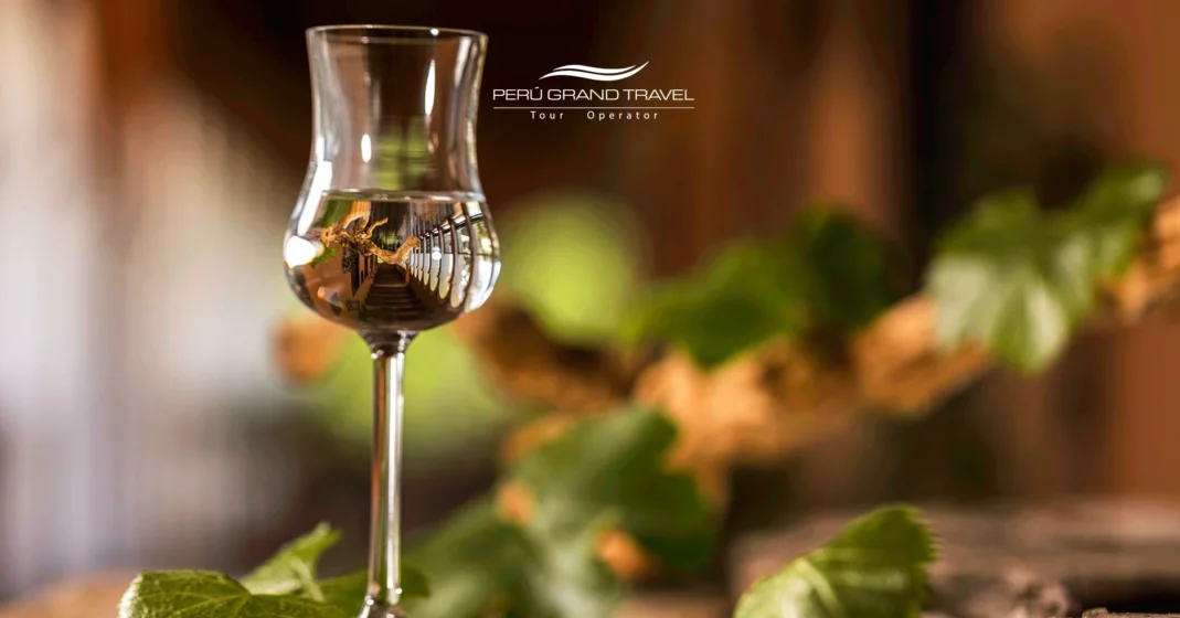 copo de pisco, onde comprar pisco peruano, pisco peruano puro, vinhedos de pisco no Peru