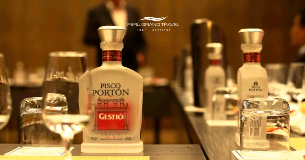 degustação de pisco de luxo, pisco peruano, pisco sour, dia do pisco sour, bebida nacional, marcas de pisco