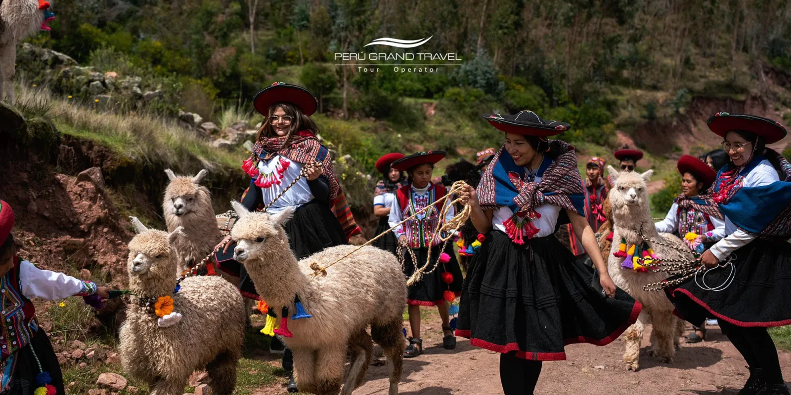 terapia com lhamas no Peru