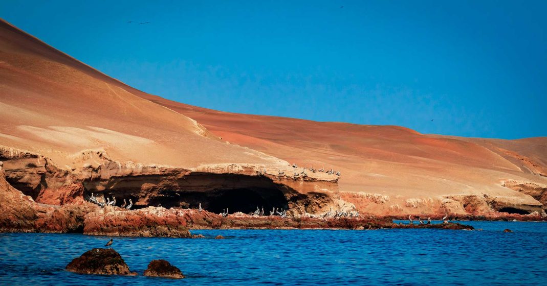 Turismo no Peru - Costa da Reserva Nacional de Paracas e Ilhas Ballestas com diversas espécies de aves à vista
