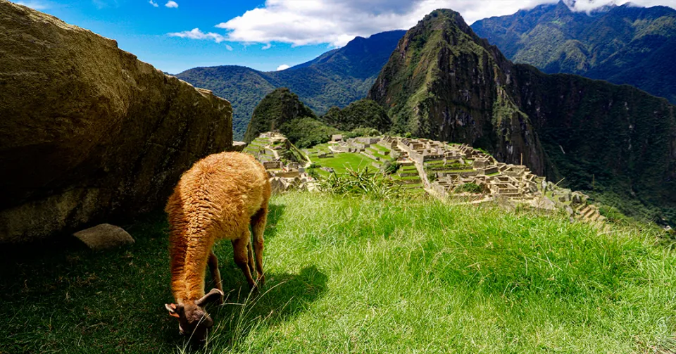 Experience the Wonder of Machu Picchu with Peru Grand Travel Plan your adventure with Peru Grand Travel to discover the lost citadel of Machu Picchu