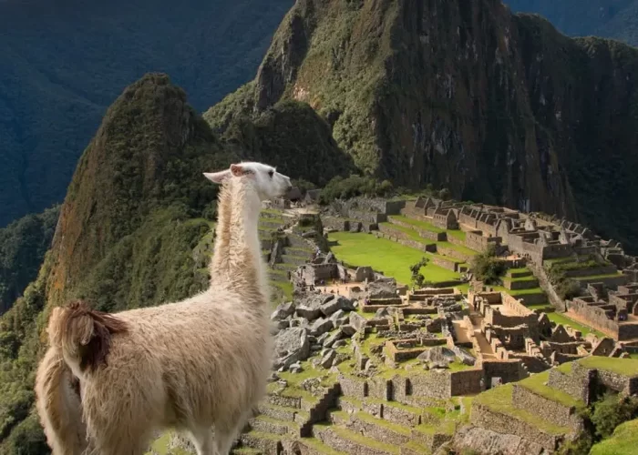 Pacote Machu Picchu 6 dias