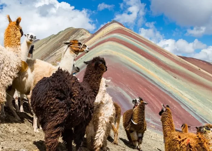 Trilha Montanha colorida Peru