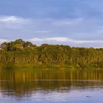 Amazônia Peruana